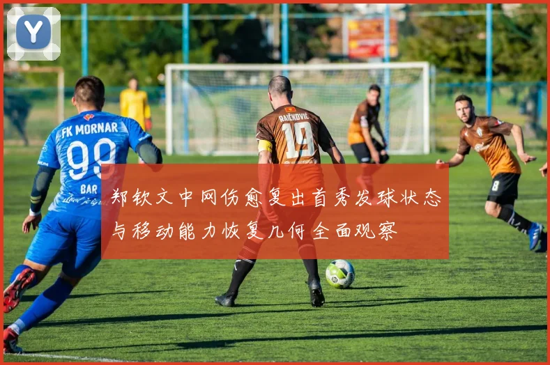 郑钦文中网伤愈复出首秀发球状态与移动能力恢复几何全面观察
